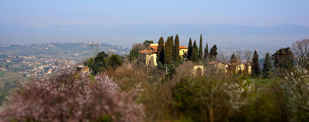 Agriturismo Frigionaia Carmignano Exteriör bild
